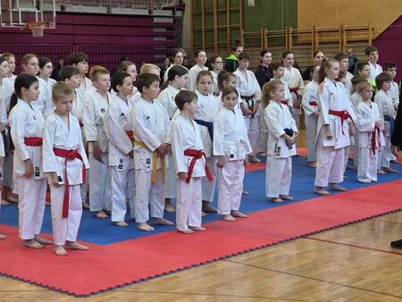 Najštevilčnejša in najuspešnejša ekipa je ekipa Shotokan karate kluba Postojna