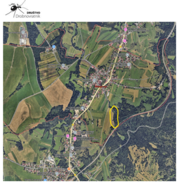 drobnovratnik _ zemljevid