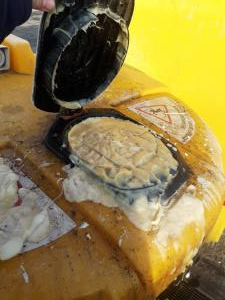 nepravilna-oddaja-mascob